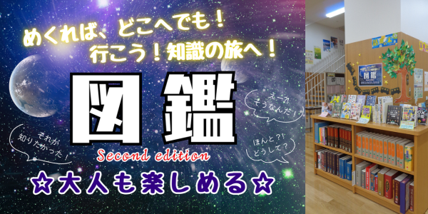 てんじしゃしん